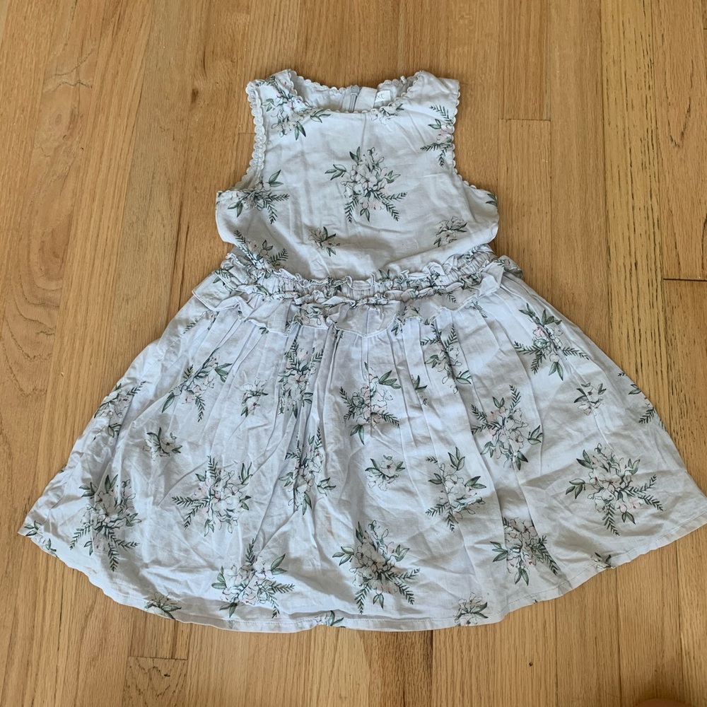 Next floral dress